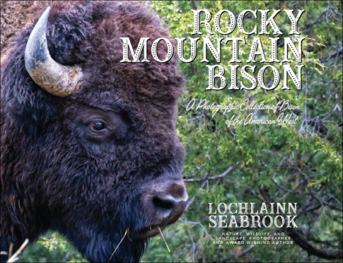 "Rocky Mountain Bison: A Photographic Collection of Bison of the American West," from Sea Raven Press